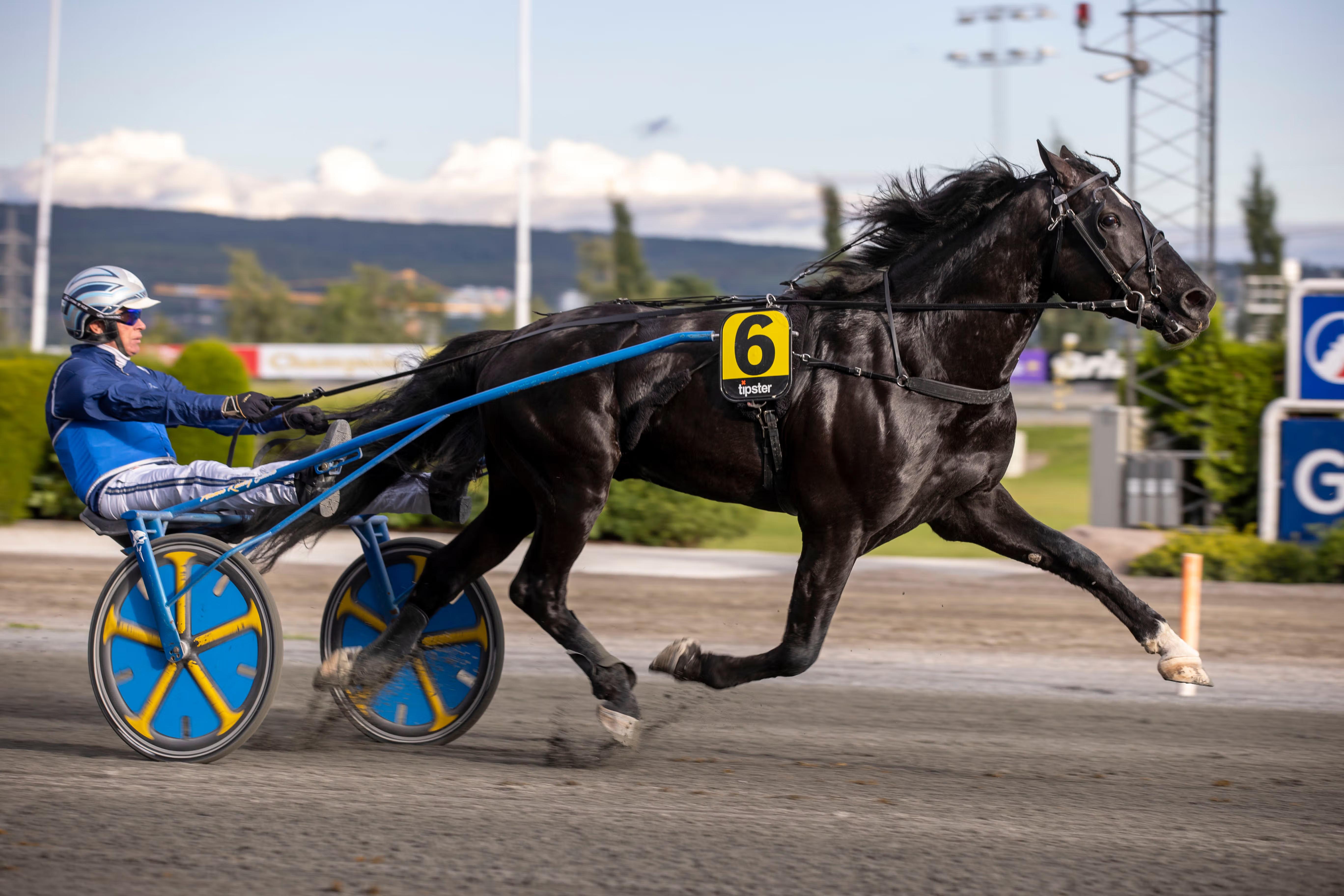 Kaldblodstreneren Frode Hamre