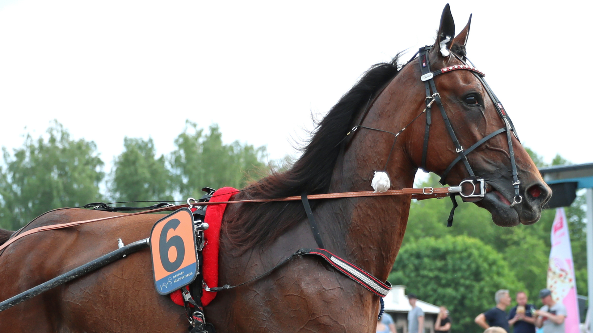 Stjernehoppen nærmer seg slutten - V85 aktuell i helgen