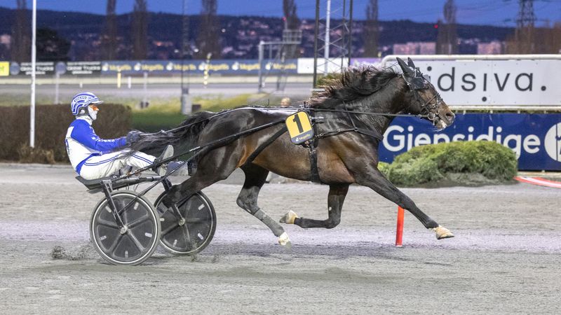Full pott på Bjerke – Crown imponerte