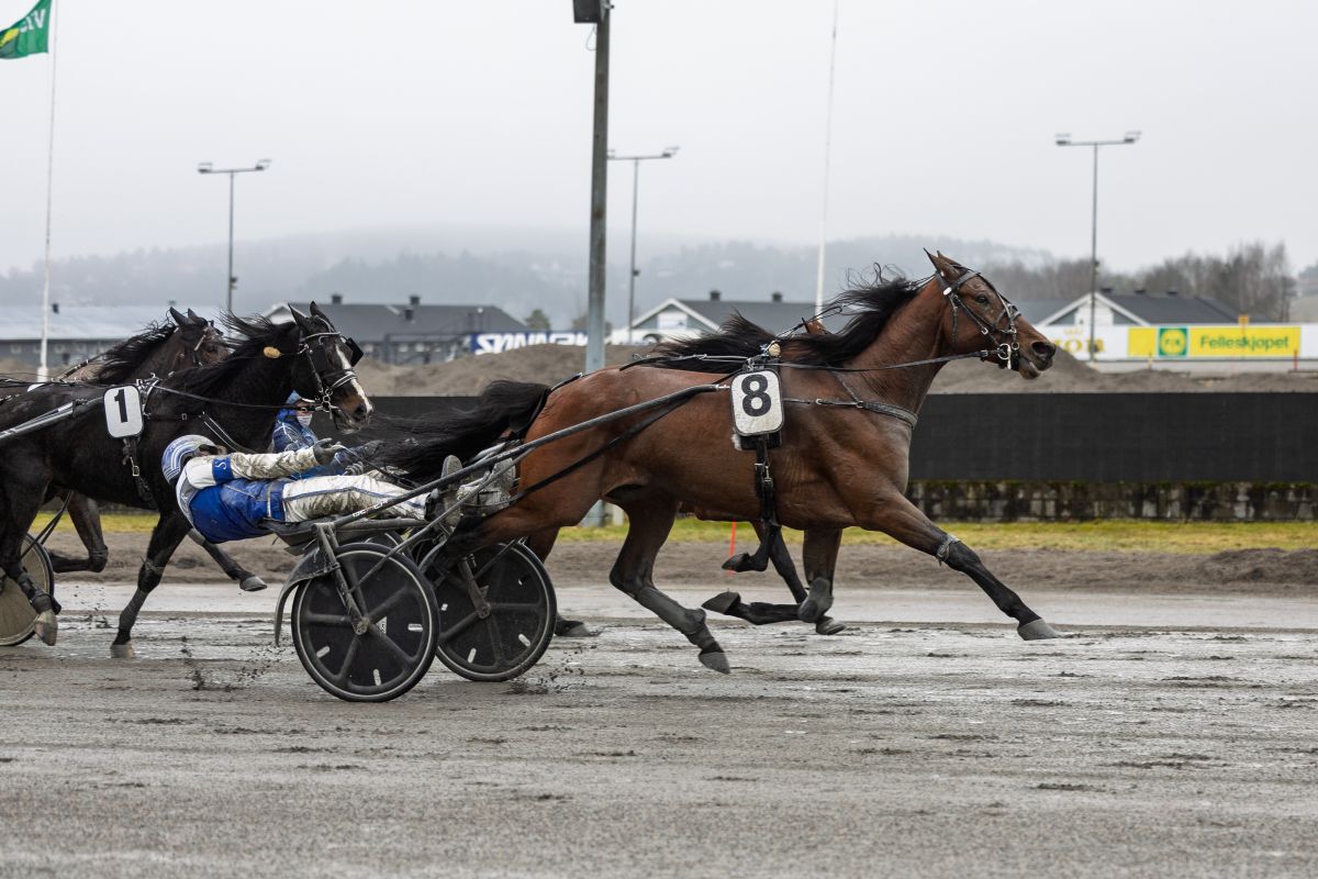 Get Going strålte i lunsjen