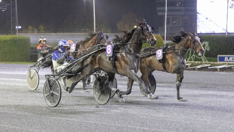 Brostile R. og Vidar Hop vinner Grunndivisjonen på Bjerke 13. oktober 2026