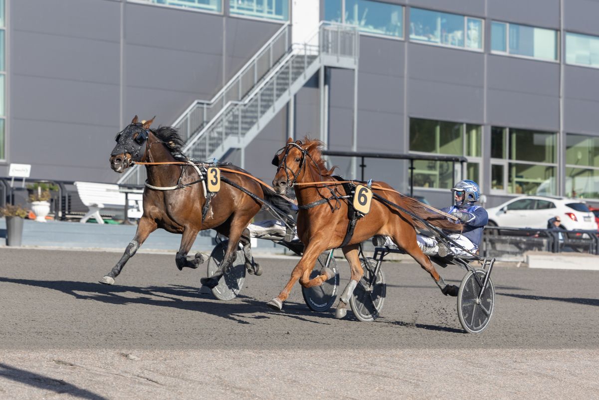 Fire seiere til lunsj