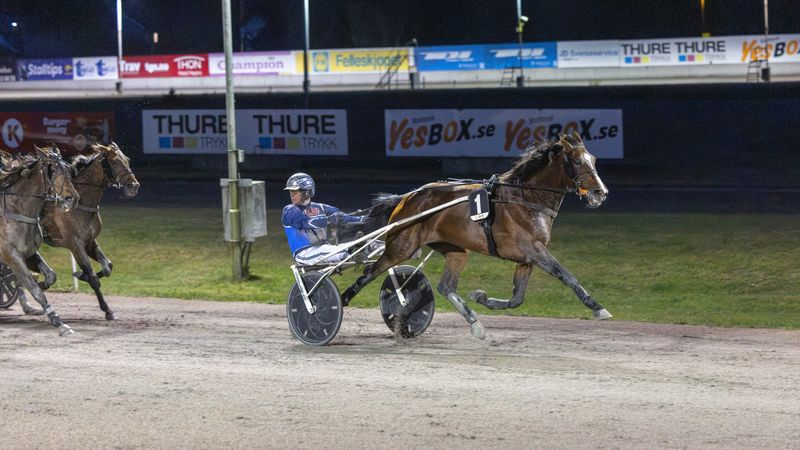 Rome Pays Off med Frode Hamre i sulkyen på Klosterskogen