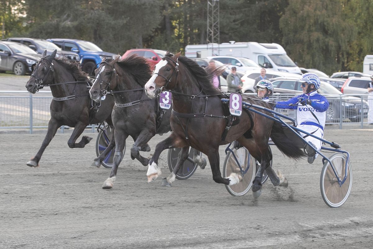 Overvik Prinsen tilbake – og årets første 3-åring i prøveløp
