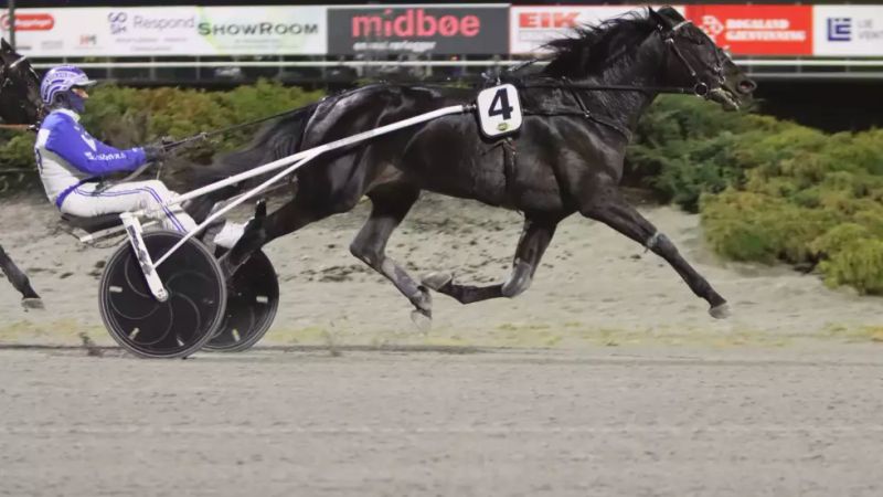 Tix æret Rex´n med karrierebeste