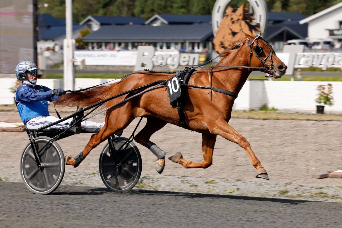 Ukens starter - Uke 15