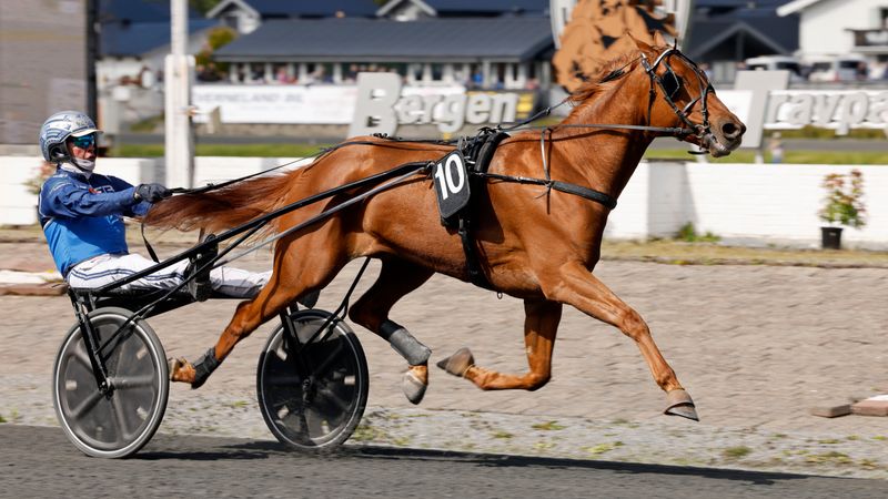 Ukens starter - Uke 15