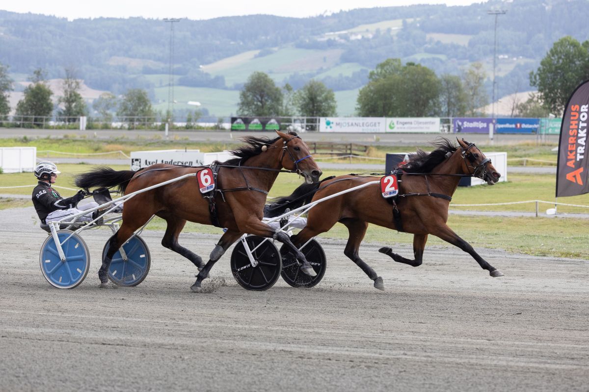 Meghan B.R igjen – suveren vinner av Norgesmesterskapet for hopper