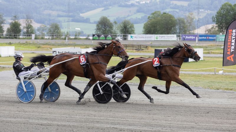 Meghan B.R igjen – suveren vinner av Norgesmesterskapet for hopper