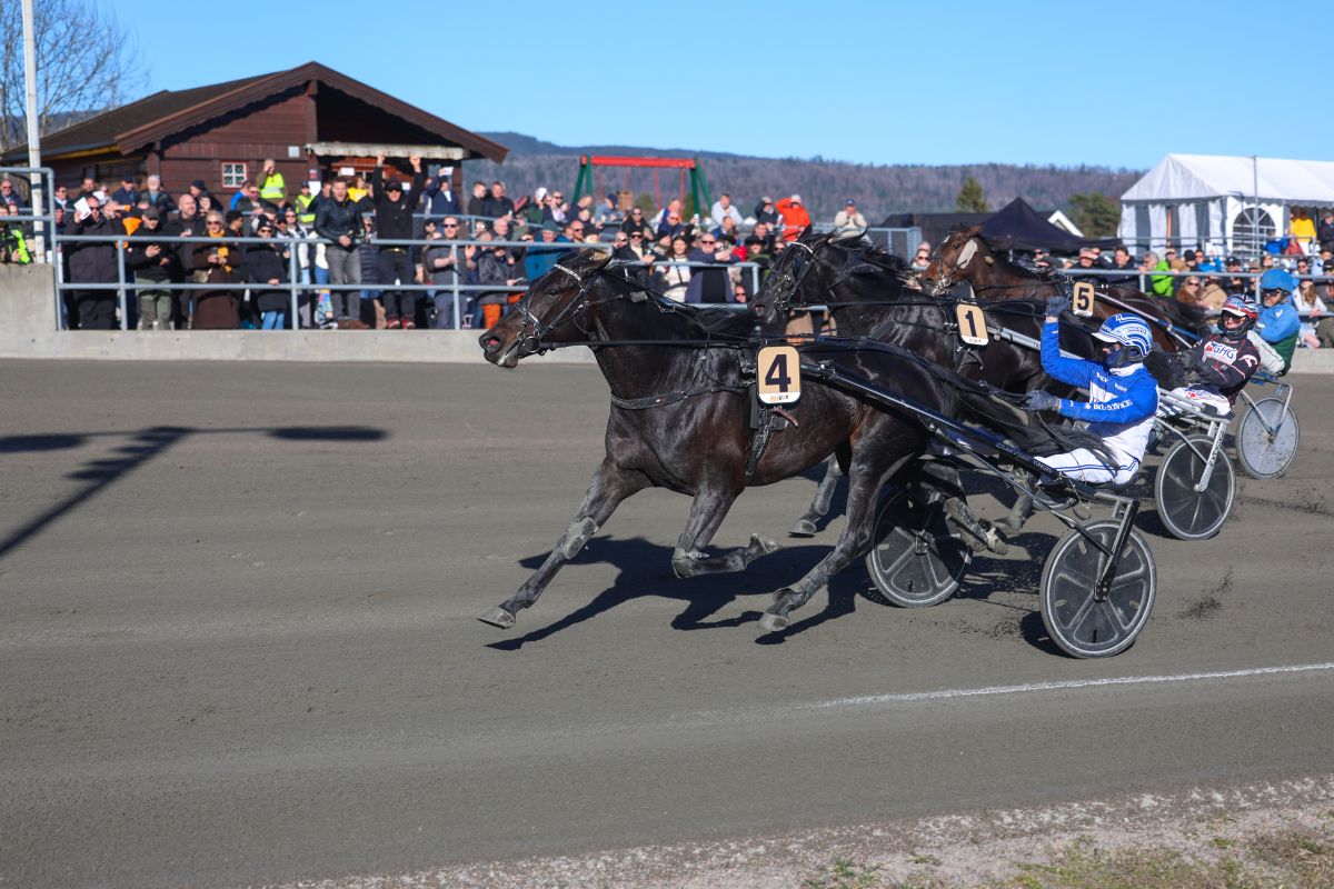 Følelseladet seier i Habibs Minneløp – og 550 000 innkjørt
