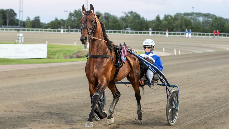 Ecurie D – en tilfeldighet ble et navn for historiebøkene