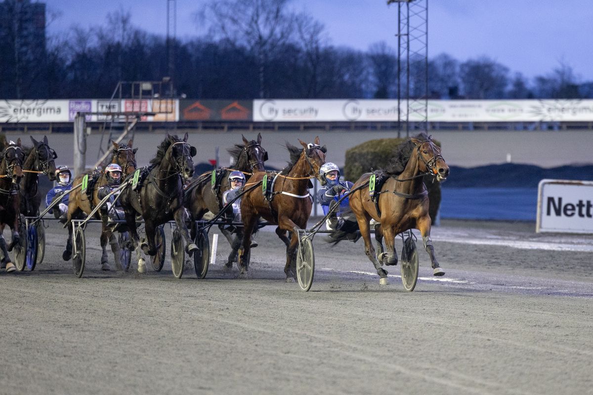 Toppdag på Bjerke – Beautiful Disaster og Excalibur Gene best