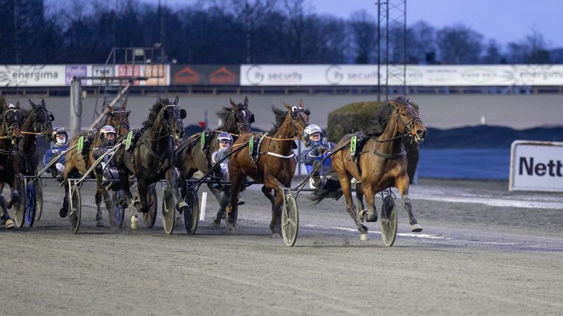 Toppdag på Bjerke – Beautiful Disaster og Excalibur Gene best