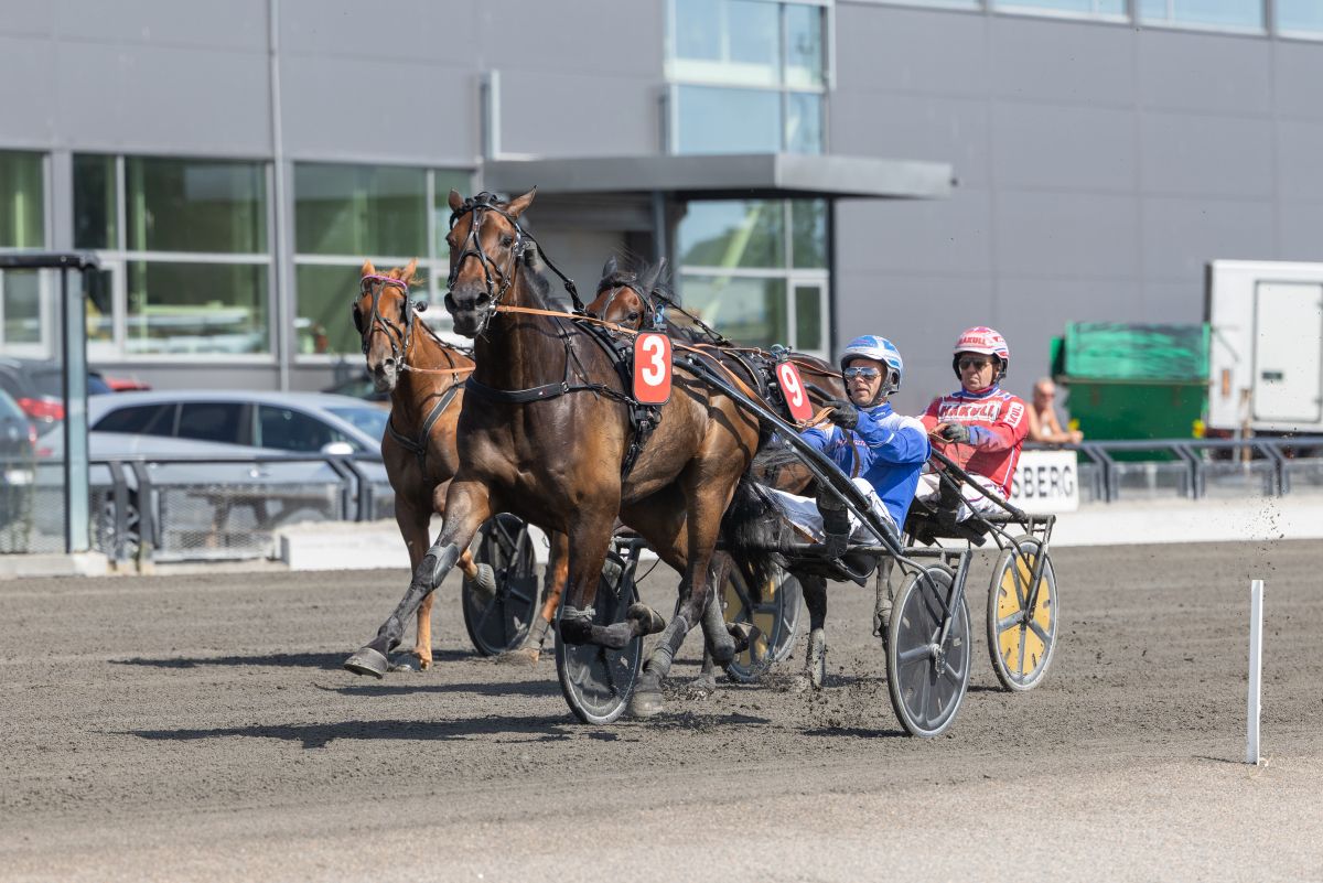 Cogburn i tet med Adrian Solberg Akselsen i sulkyen på Jarlsberg