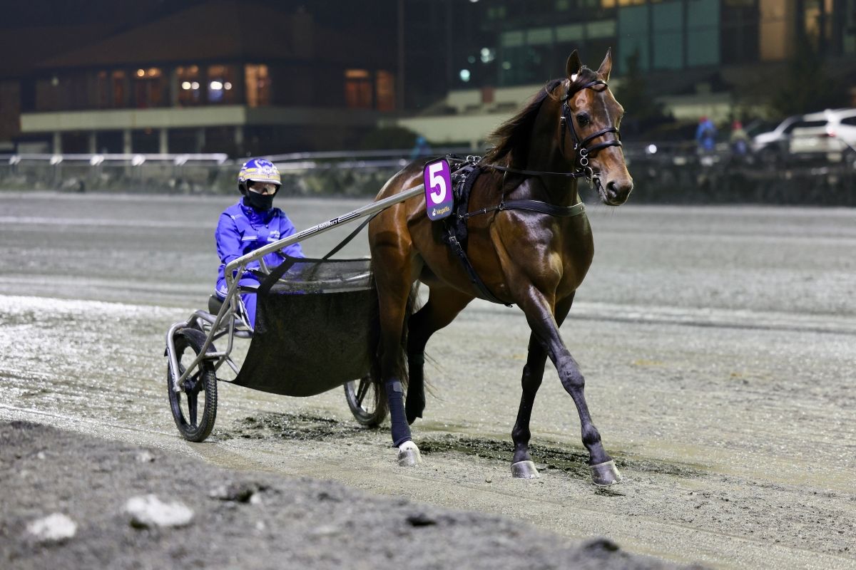 Ukens starter – uke 11