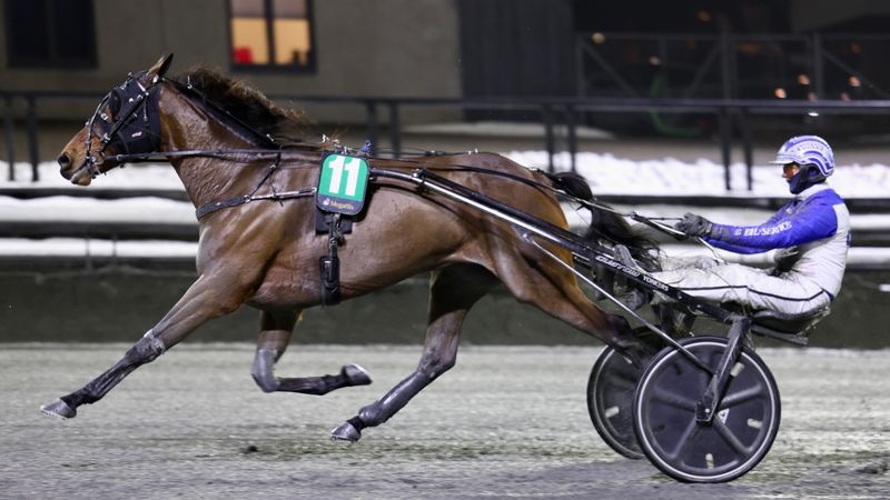 Dobbelt i eliten – og tre V75-seiere