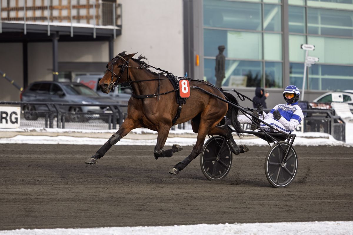 Perfekt reise ga perfekt start på uken