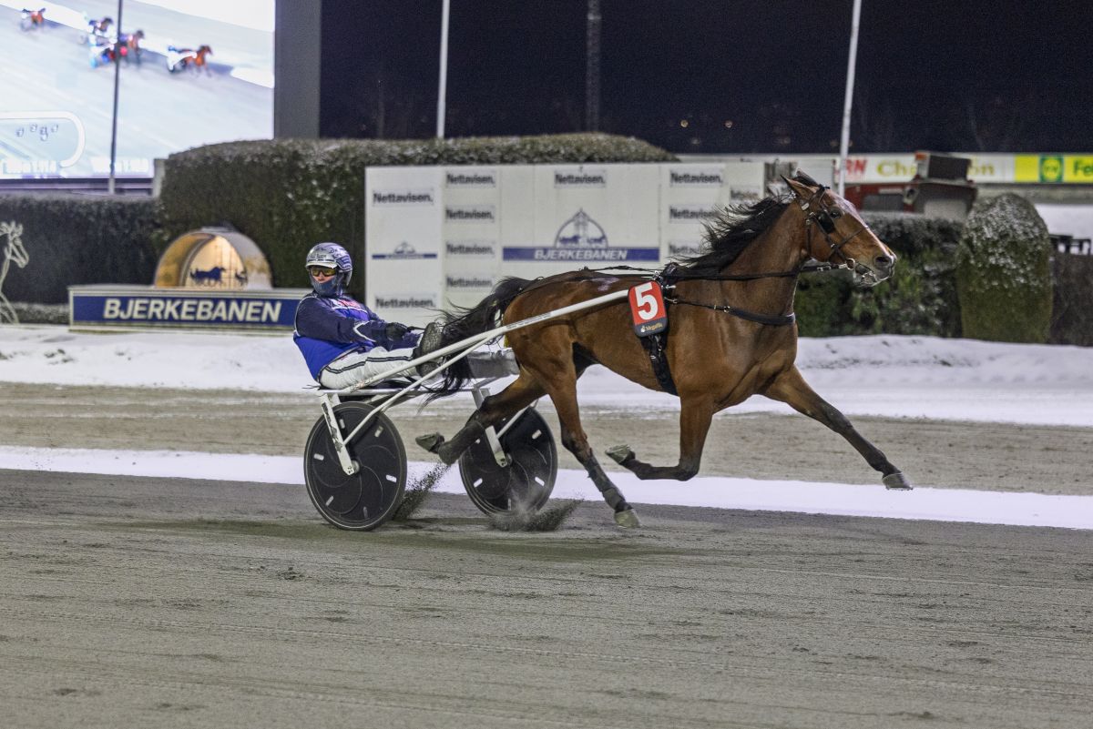 Ny toppdag på Bjerke – Point extrem igjen!