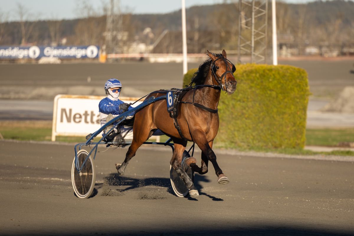 Miltonstile i aksjon