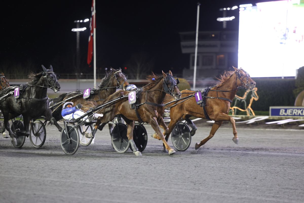 En duell mellom stallkompiser - Cool Hand sterkest