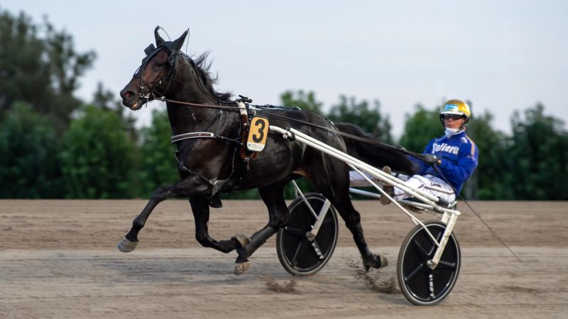 Travera-handel under Prix d’Amérique-helgen
