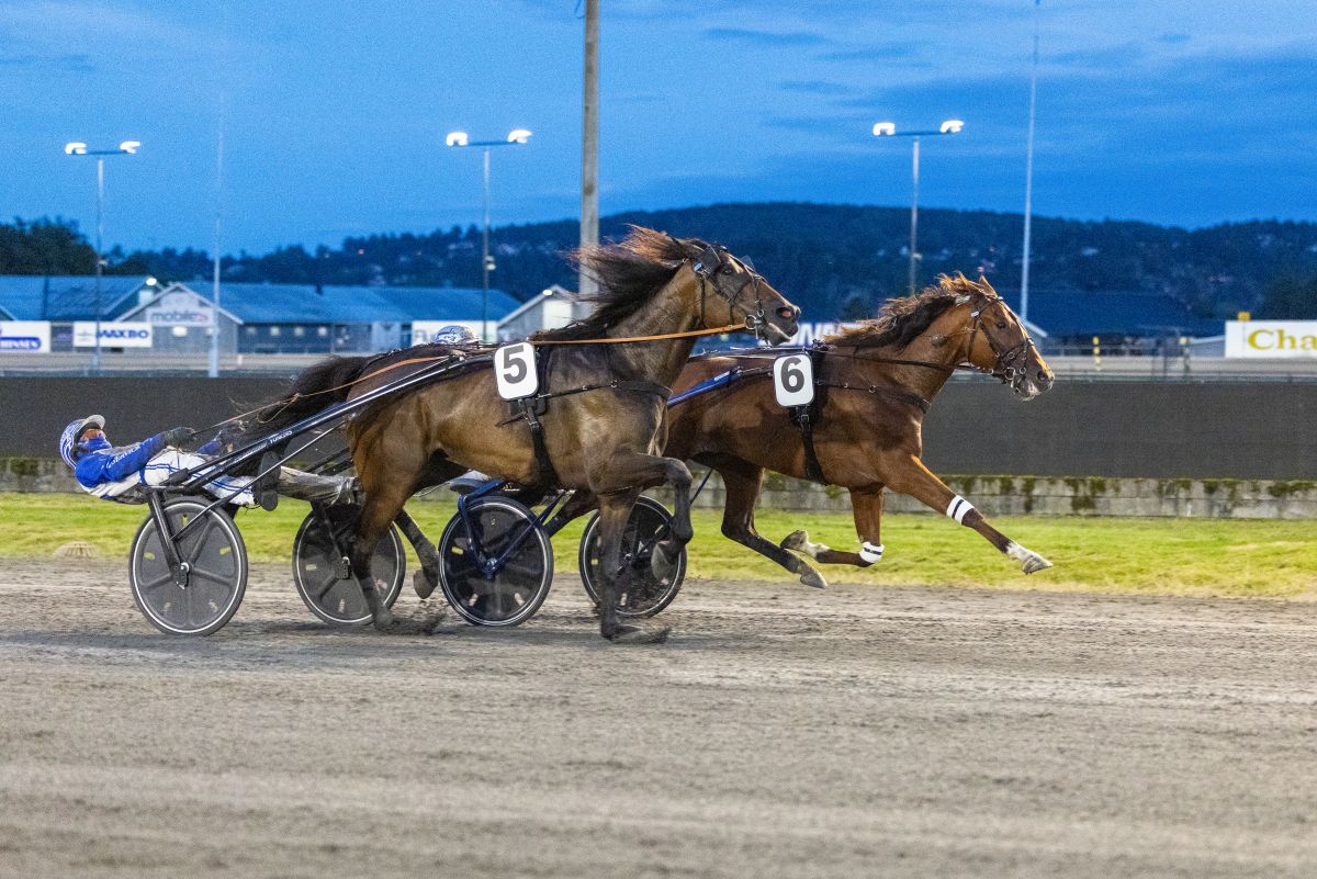 Rocky Vrijthout og Cogburn side om side på oppløpet på Jarlsberg