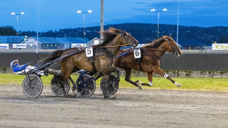 Rocky Vrijthout og Cogburn side om side på oppløpet på Jarlsberg