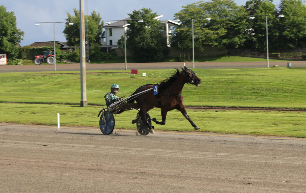 Ivana best i 5-års Hoppechampionat på Odense