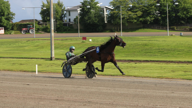 Ivana best i 5-års Hoppechampionat på Odense