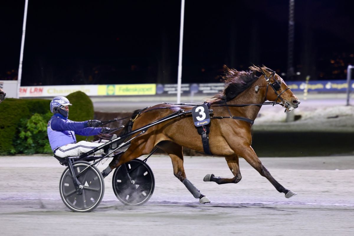 Stoletheshow avsluttet - "Ingen hest jeg heller taper for"