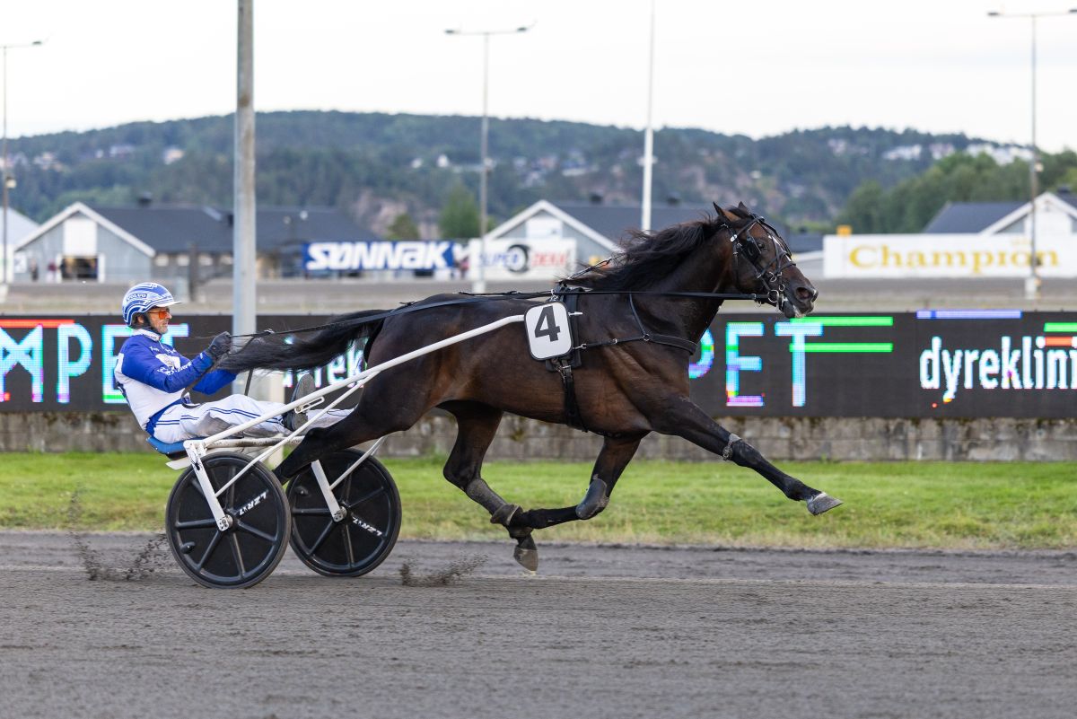 Duke Of Walner med Vidar Hop i sulkyen på Jarlsberg Travbane