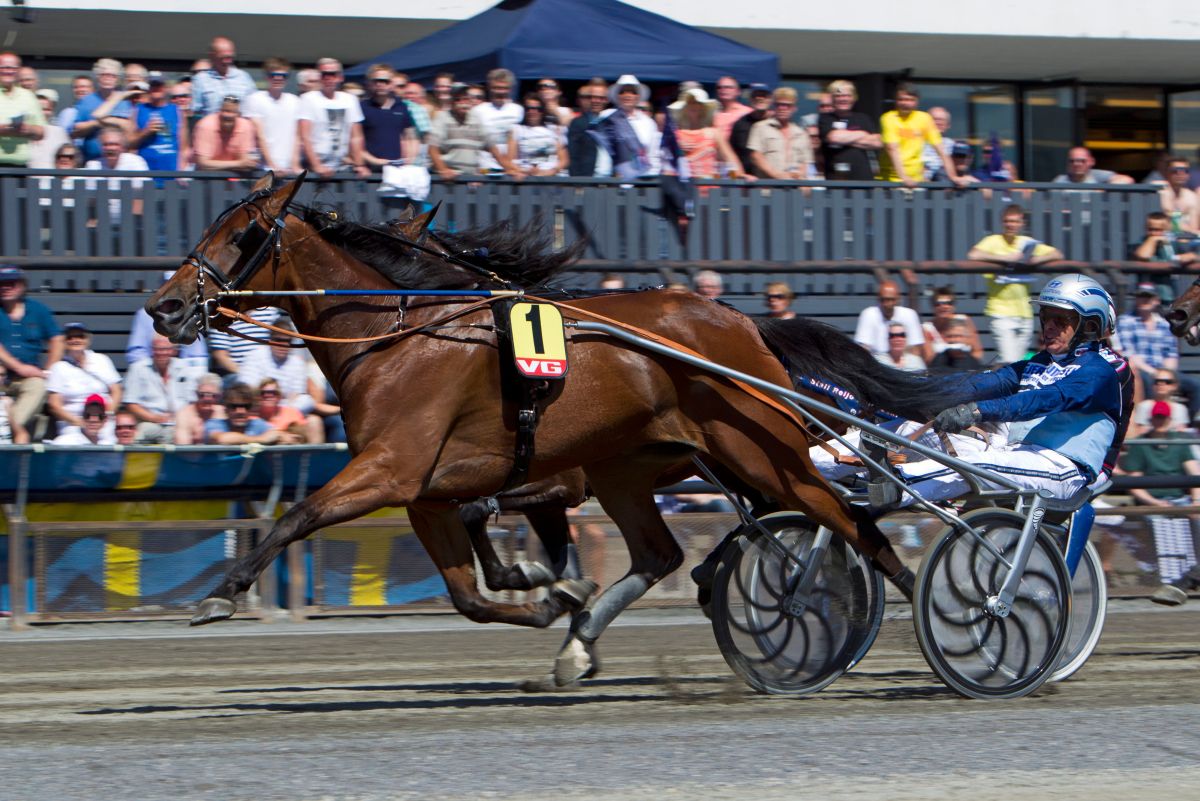 Juniata Hanover