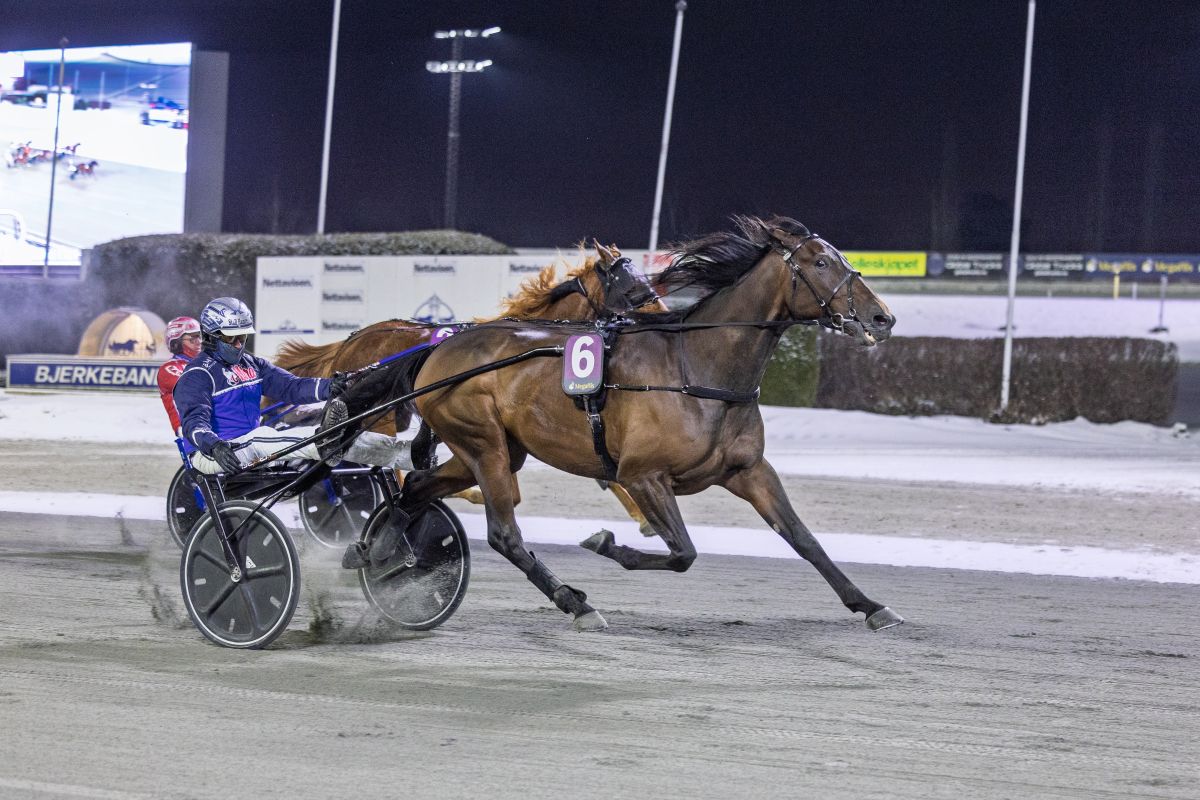 "Han har blitt komplett og takler alle type opplegg"