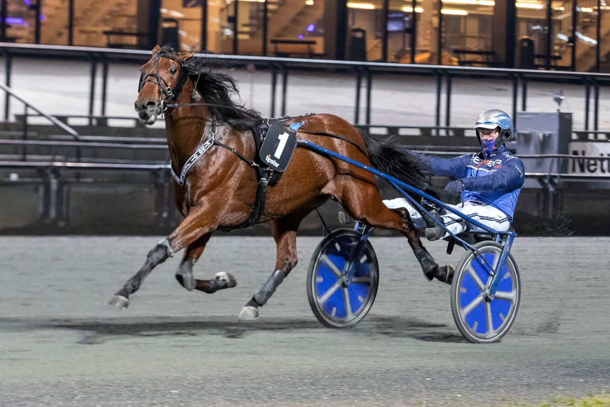 King di Jesolo