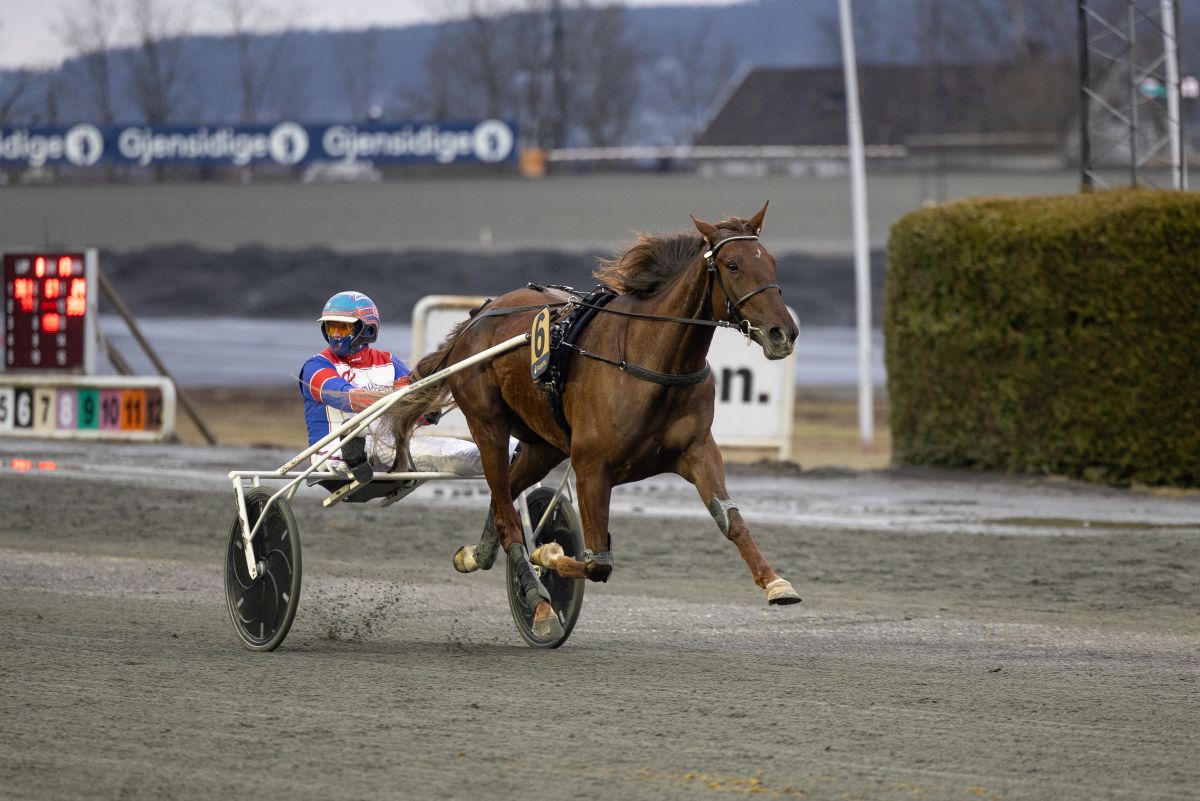 Toppdag på Bjerke – Beautiful Disaster og Excalibur Gene best