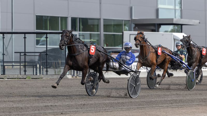 Sobel Promise med Vidar Hop i sulkyen på Jarlsberg Travbane