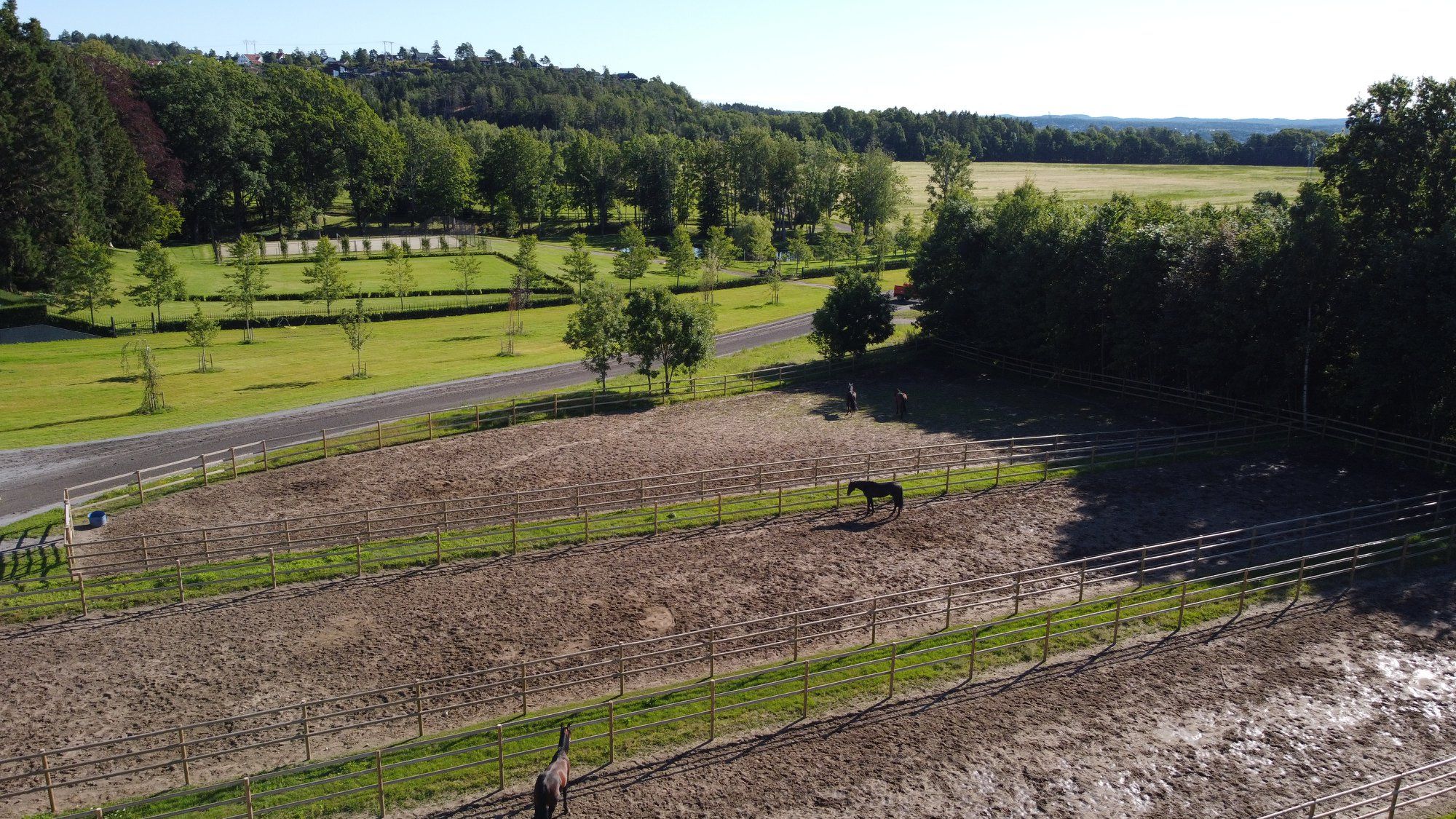 Hest i trening hos Stall Hamre