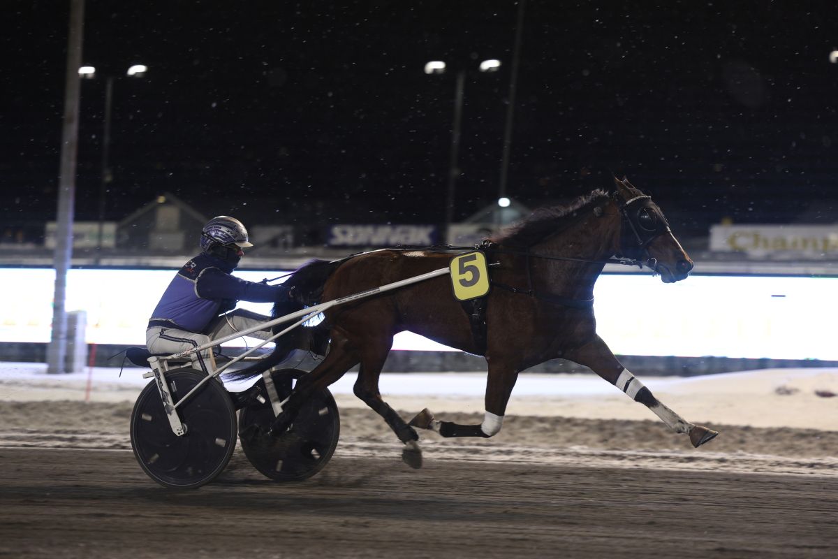 Tilbake som en vinner – med toppinntrykk