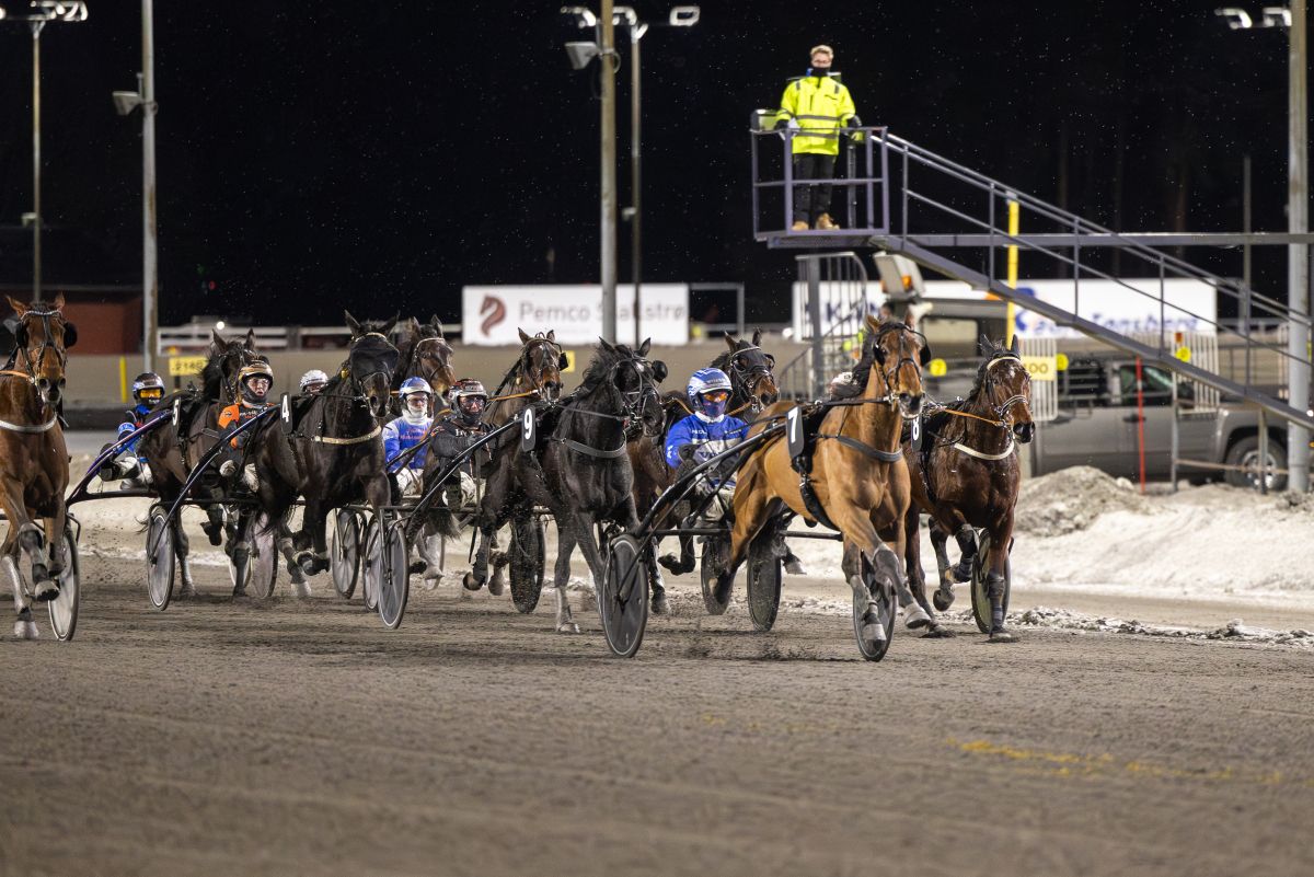 Lynet McQueen og United Time Trot sikret nye seiere