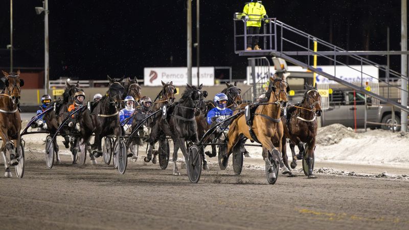 Lynet McQueen og United Time Trot sikret nye seiere