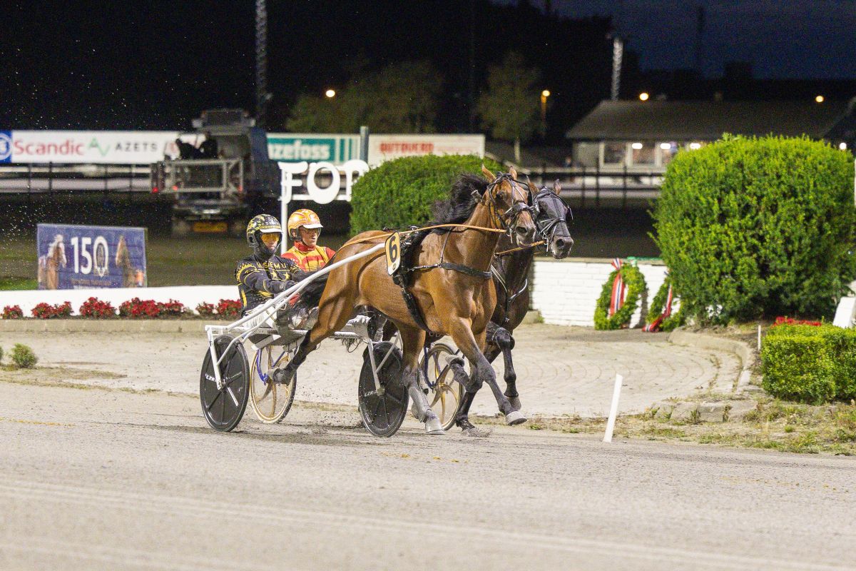 Historisk - 09,6 av Meghan B.R