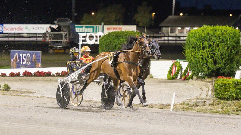 Historisk - 09,6 av Meghan B.R