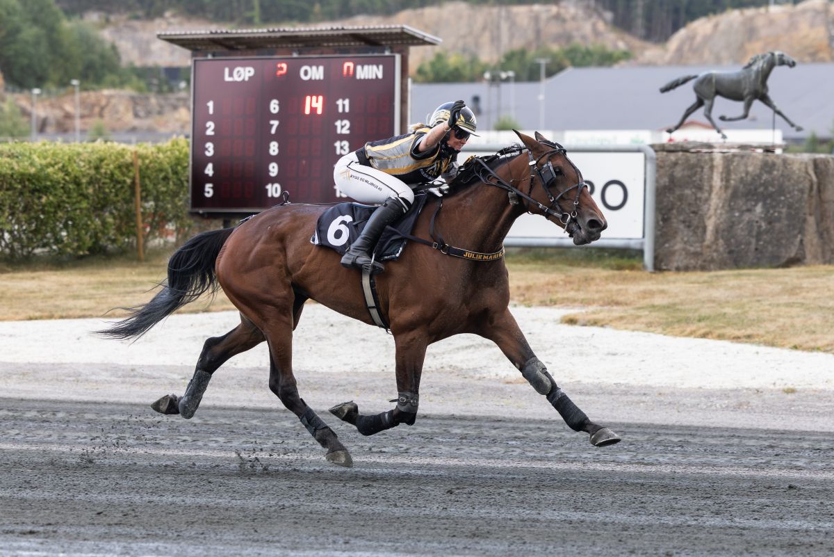 Allegra Avanza med Julie Mari Eikås i monté på Sørlandets Travpark