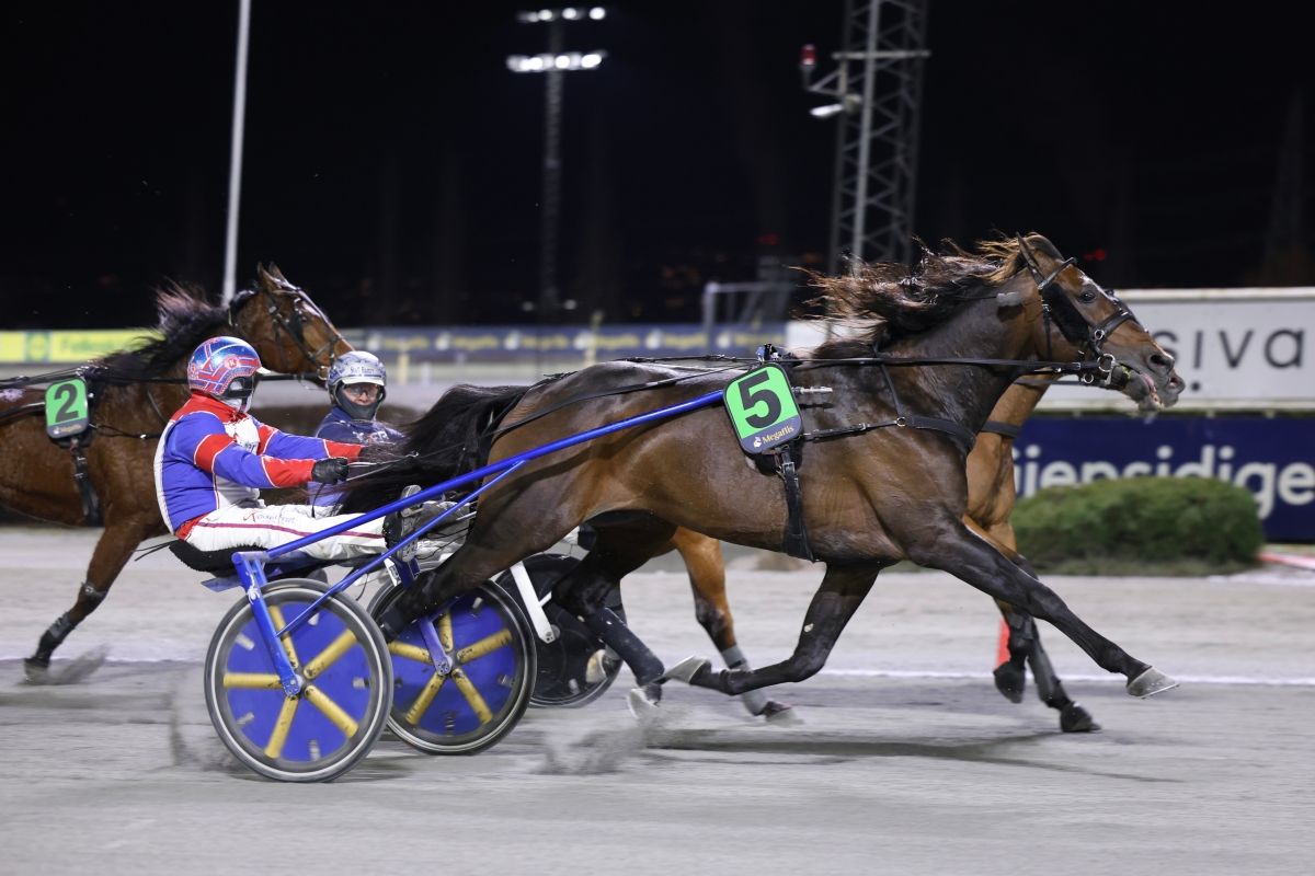 Stoletheshow avsluttet - "Ingen hest jeg heller taper for"