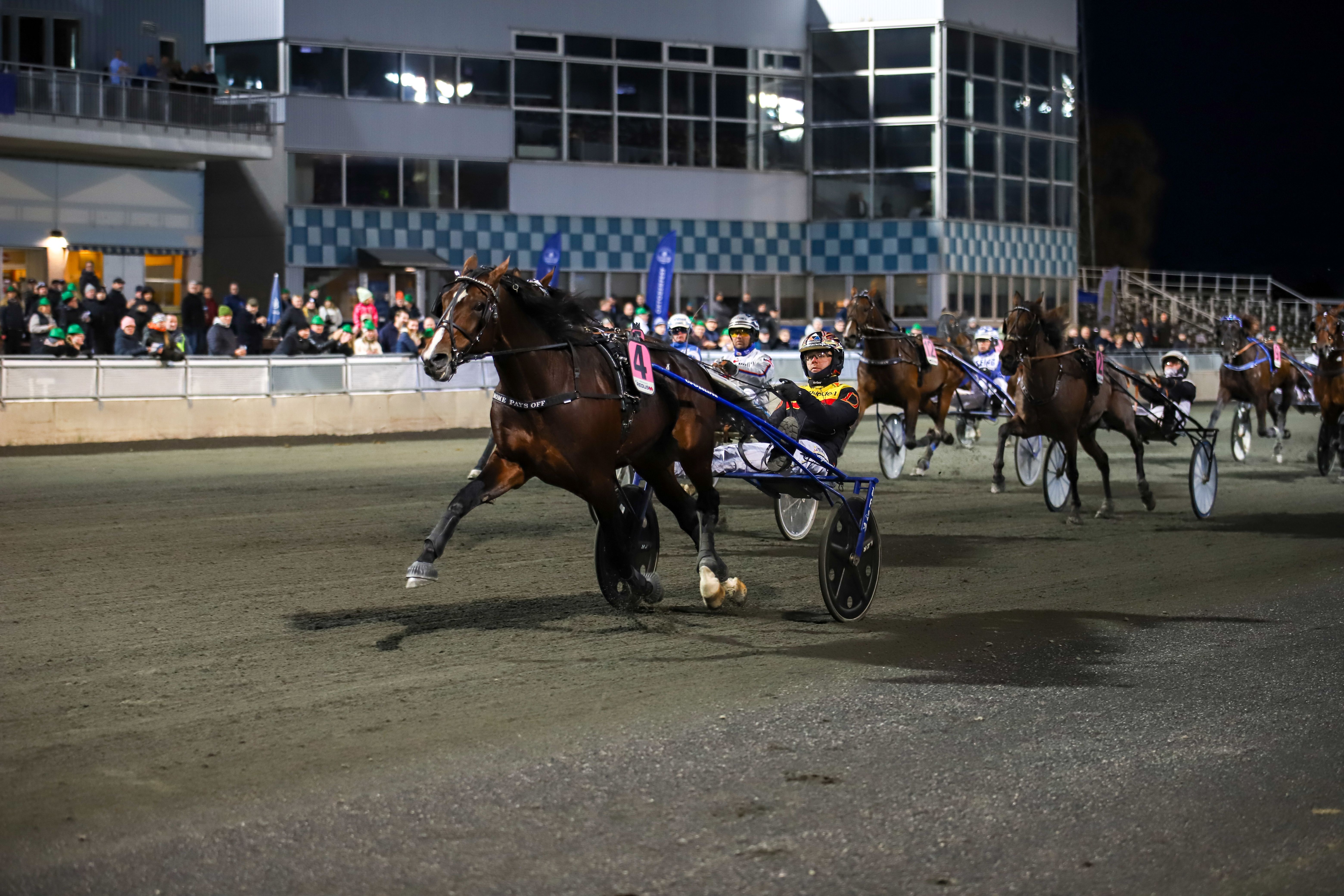 Klar for Norgesdebut – Rome Pays Off til start på Bjerke