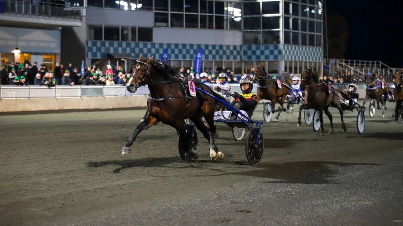 Klar for Norgesdebut – Rome Pays Off til start på Bjerke