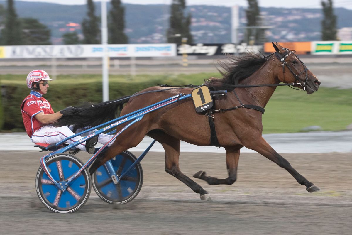 Amazing Street