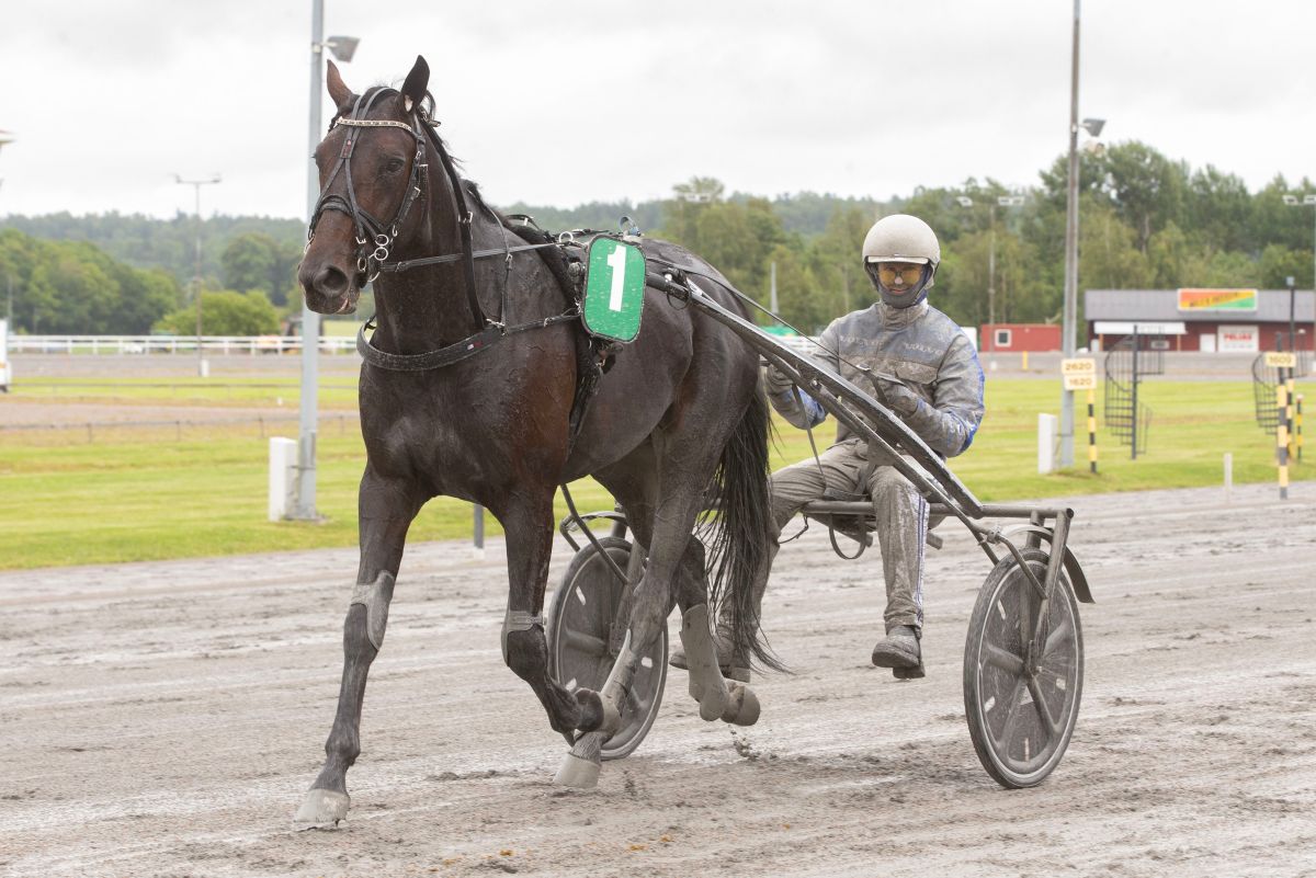 Ukens starter – Uke 10