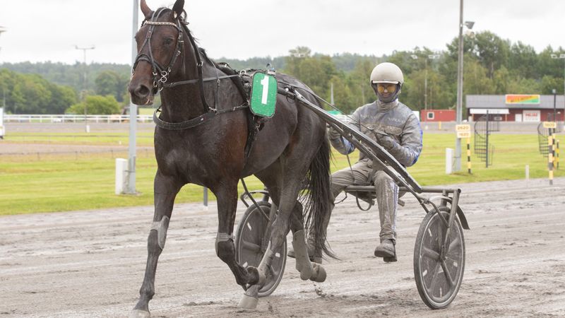 Ukens starter – Uke 10