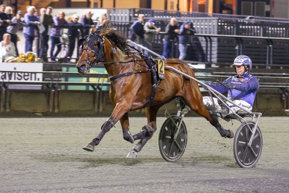 Ukens starter - Uke 8